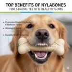 Nylabones