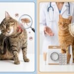 cat flea treatment