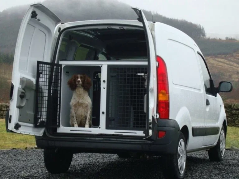 Top Dog Transport Service Providers in the UK | Safe Pet Travel Dog Transport Service