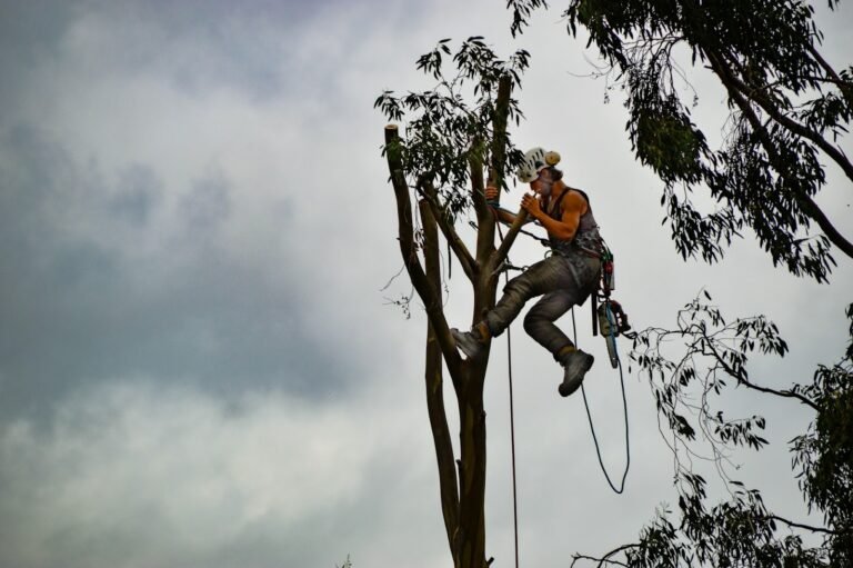 Arborists