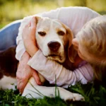 grief counseling for loss of pet