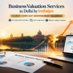 Business Valuation Services in Delhi by Indiaipo