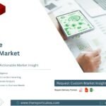 UAE Healthcare Analytics Market