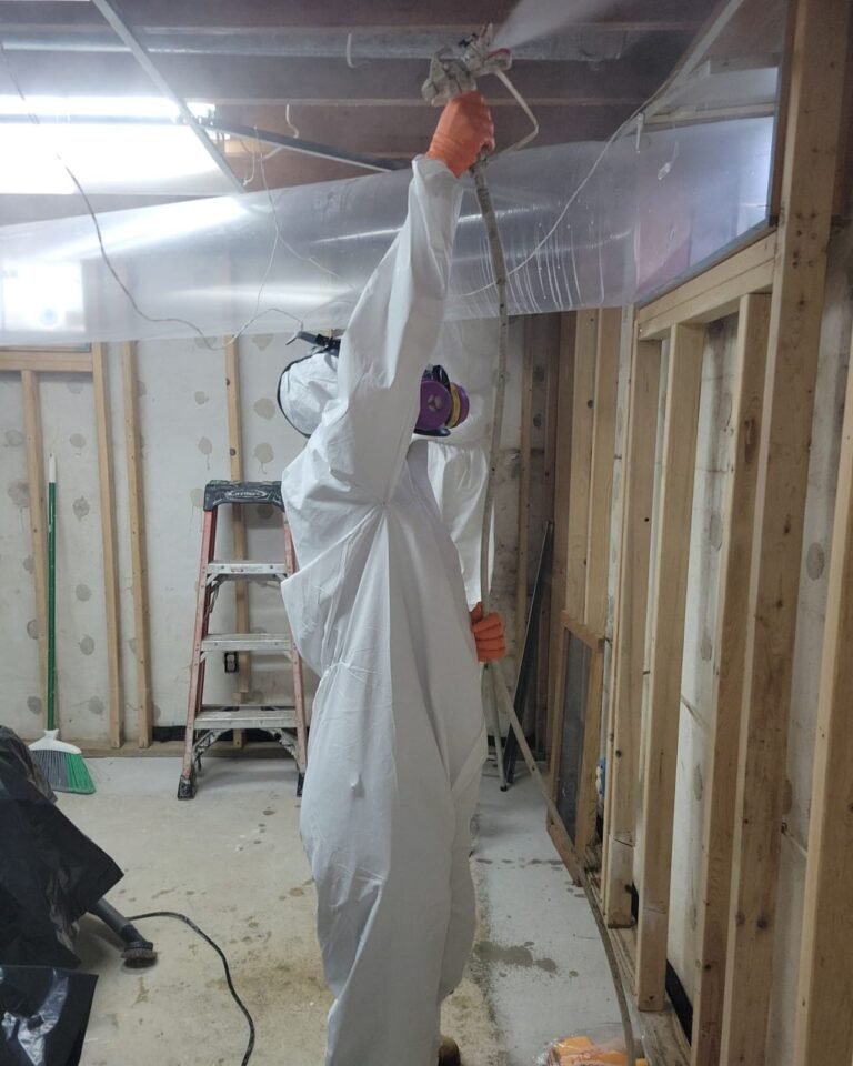 Professional Mold Remediation: A Long-Term Solution for Indoor Air Quality Improvement