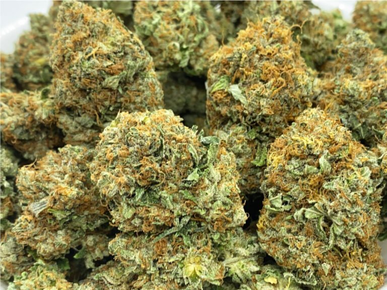 Bulk Weed Delivery Toronto: Save Money by Buying in Larger Quantities bulk weed canada