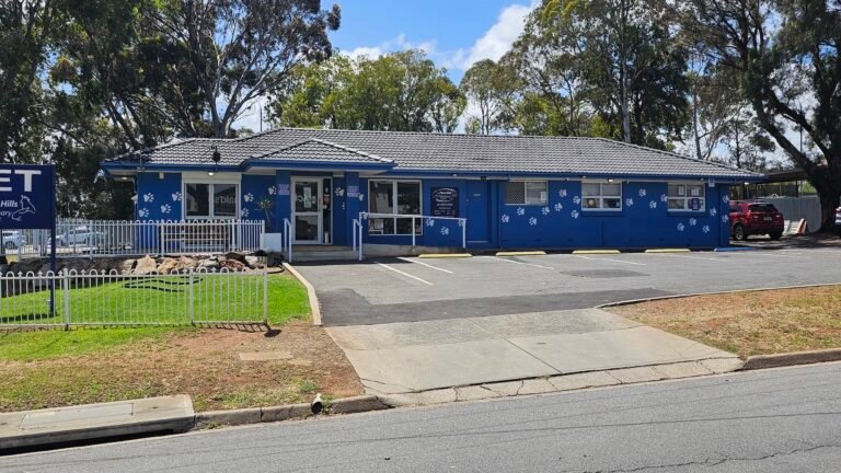 Vet Near Mawson Lakes: Quality Care Near Home