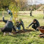 Environmental Nonprofit Organization