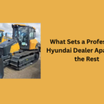 What Sets a Professional Hyundai Dealer Apart from the Rest