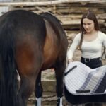 Weight gain for horses