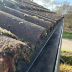 gutter cleaning solutions