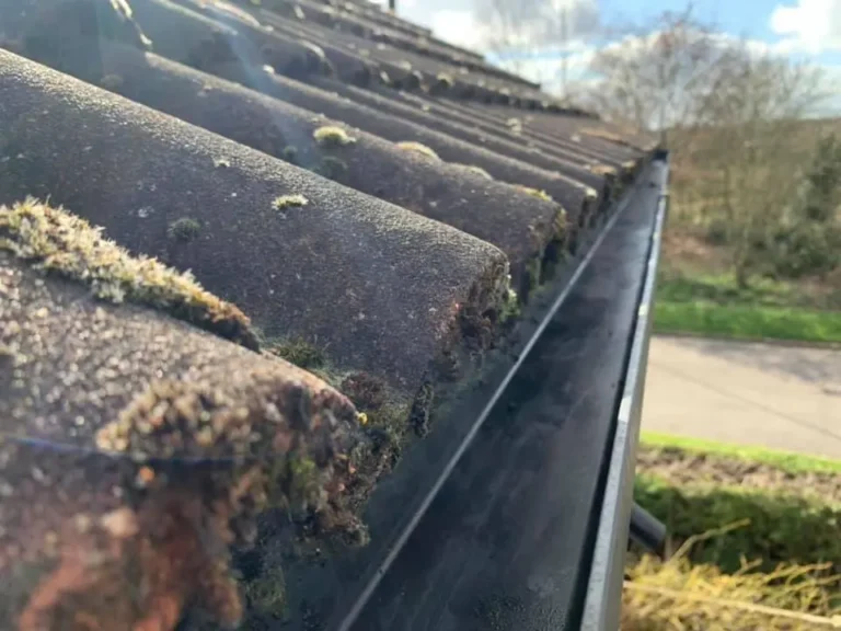 gutter cleaning solutions
