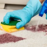 Upholstery Cleaning Denver