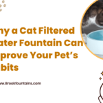 cat filtered water fountain