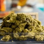 Cannabis Shakes Weed