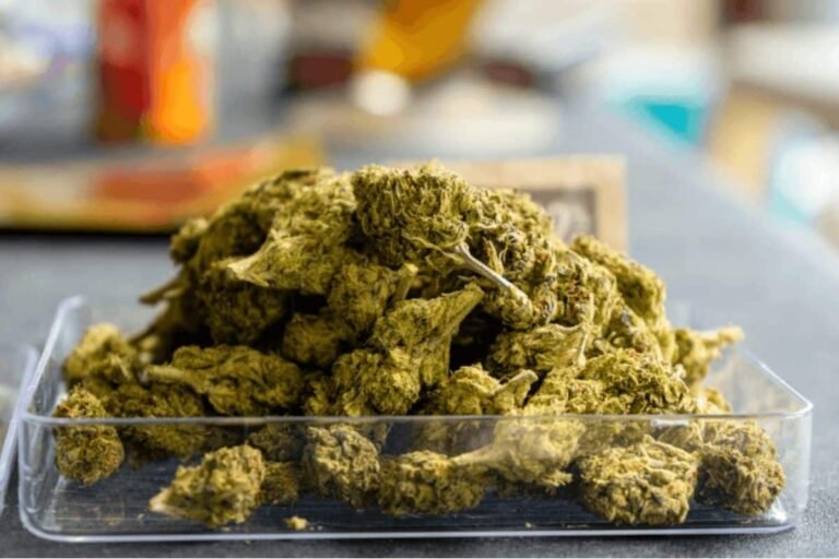 Cannabis Shakes Weed