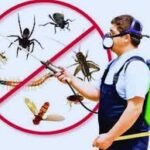 Pest Control Services
