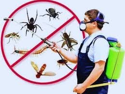 Pest Control Services – Protecting Homes and Businesses from Unwanted Pests Pest Control Services